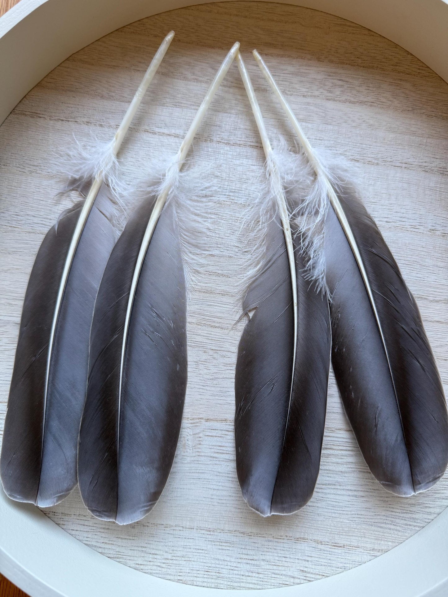Naturally Sourced Goose Feathers
