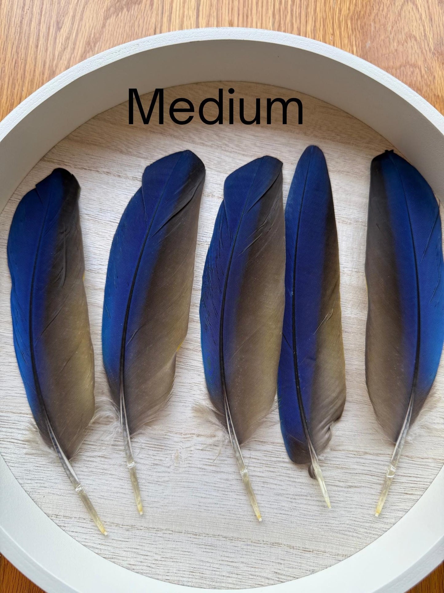 Naturally Sourced Macaw Feathers