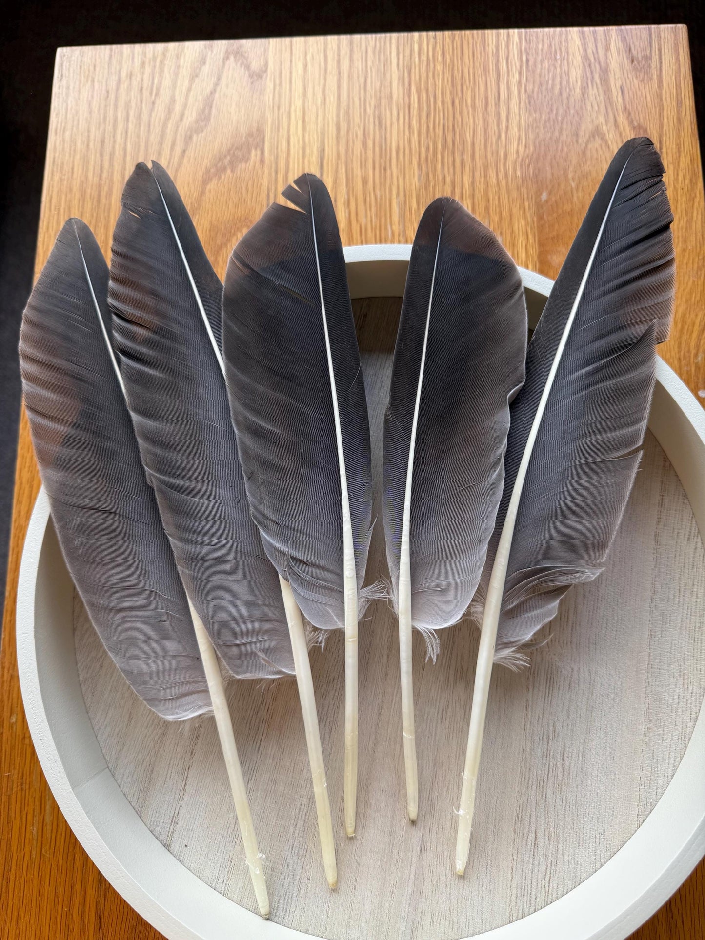 Naturally Sourced Large Goose Feathers