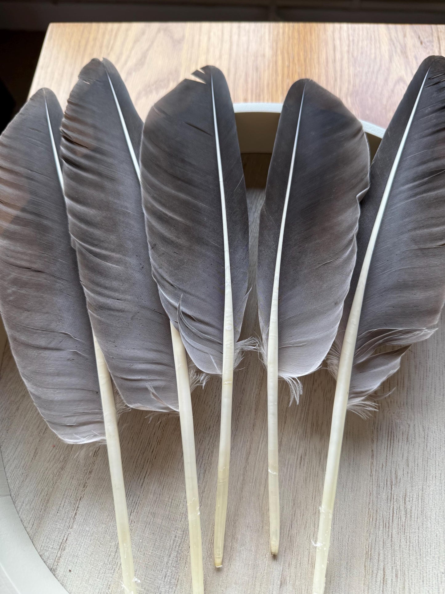 Naturally Sourced Large Goose Feathers