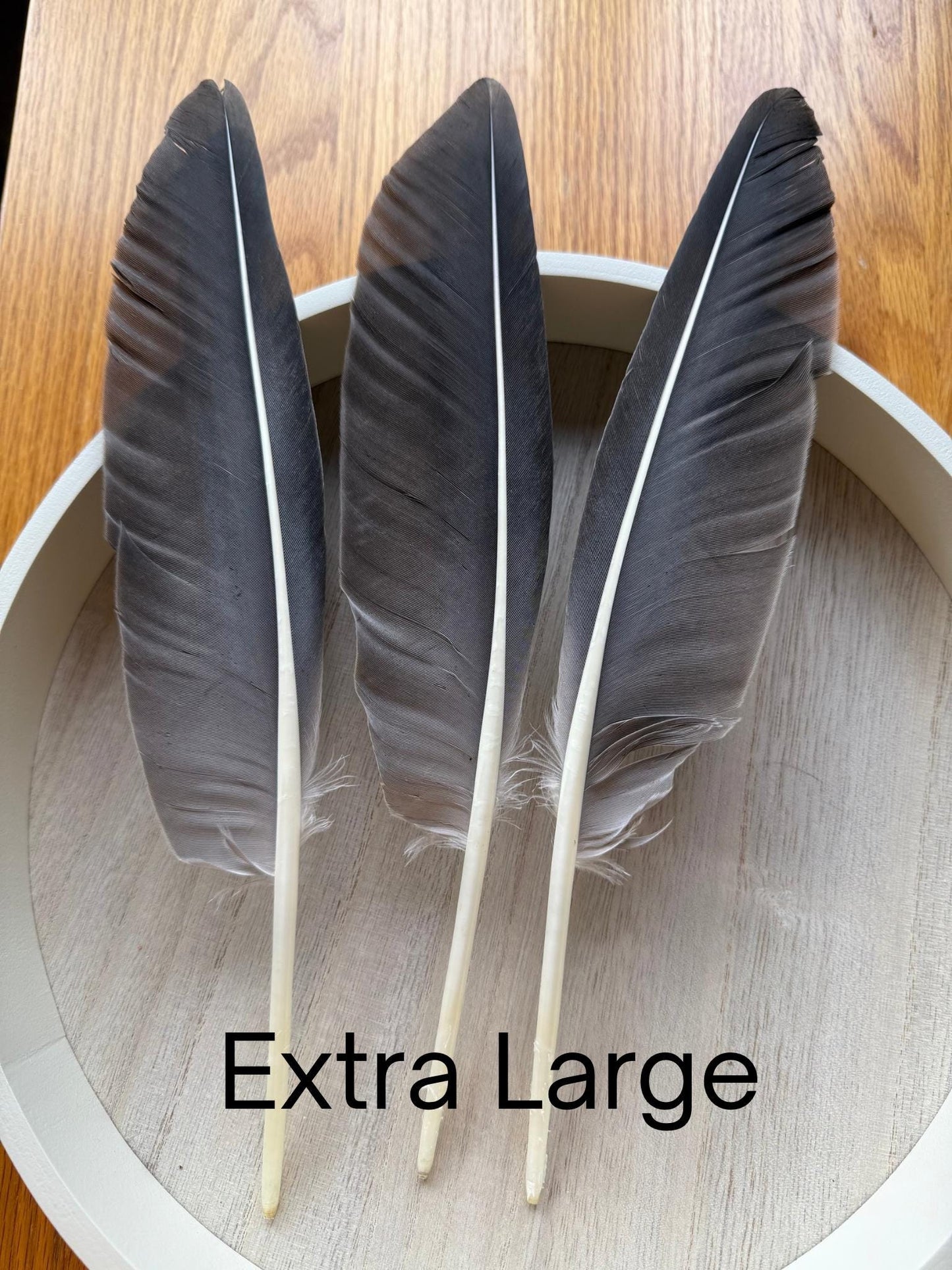 Naturally Sourced Large Goose Feathers