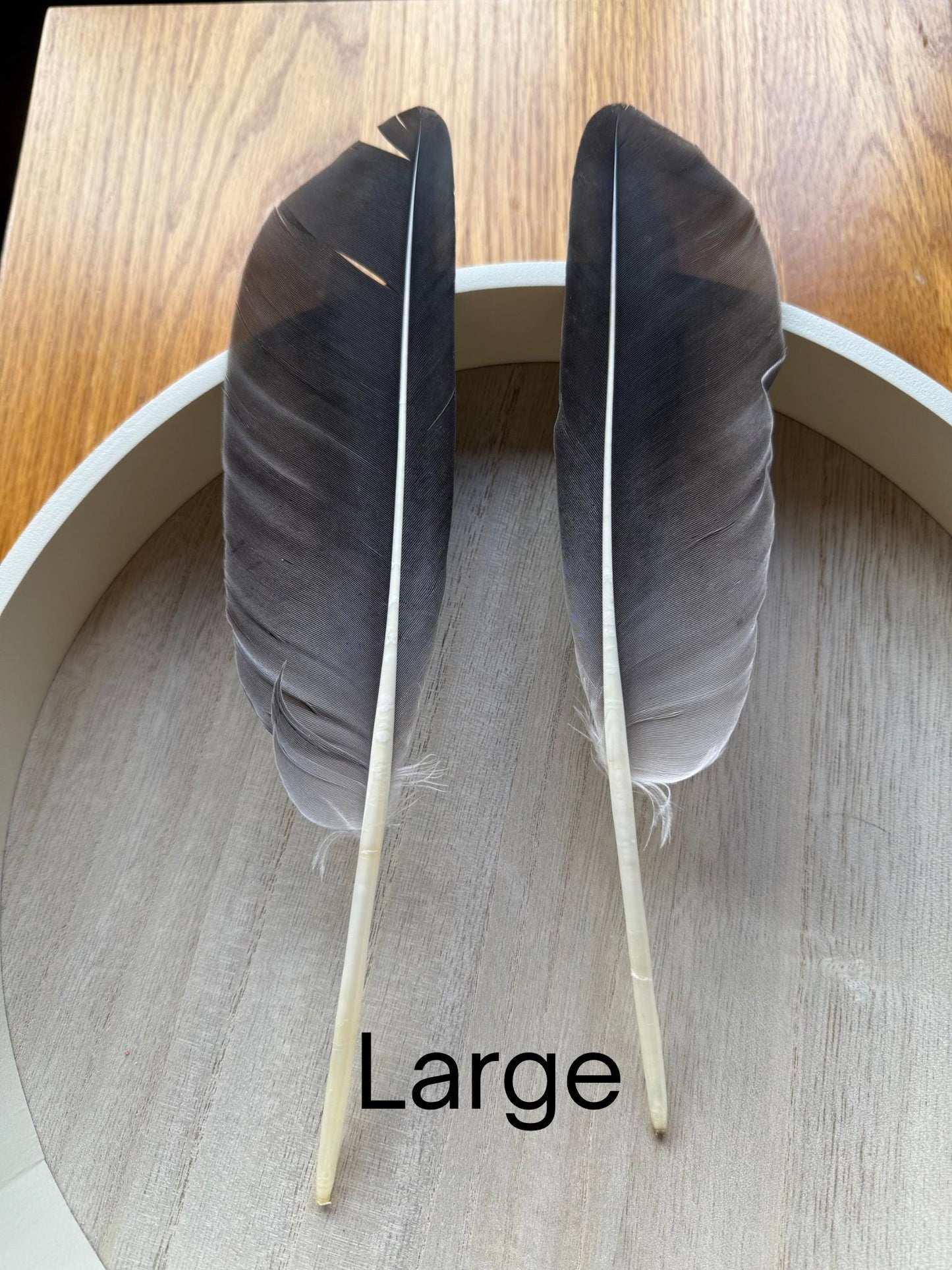 Naturally Sourced Large Goose Feathers