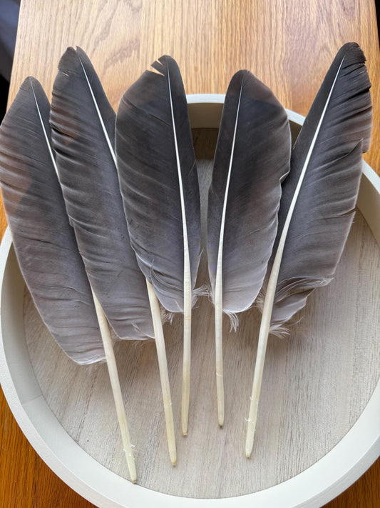 Naturally Sourced Large Goose Feathers